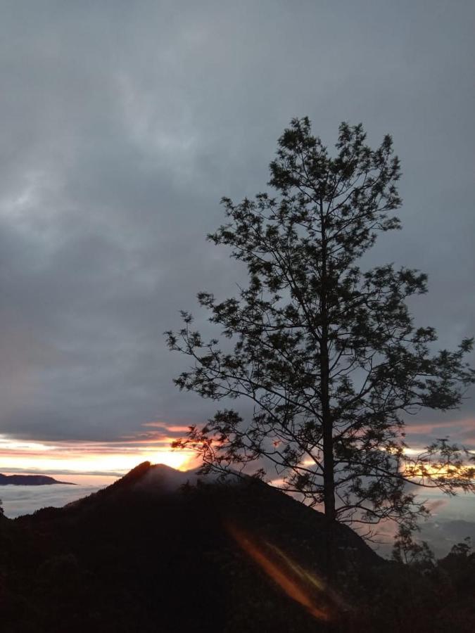 Forest Cyniciam Homestay Ohiya Extérieur photo