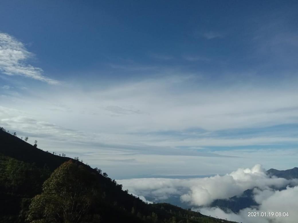 Forest Cyniciam Homestay Ohiya Extérieur photo