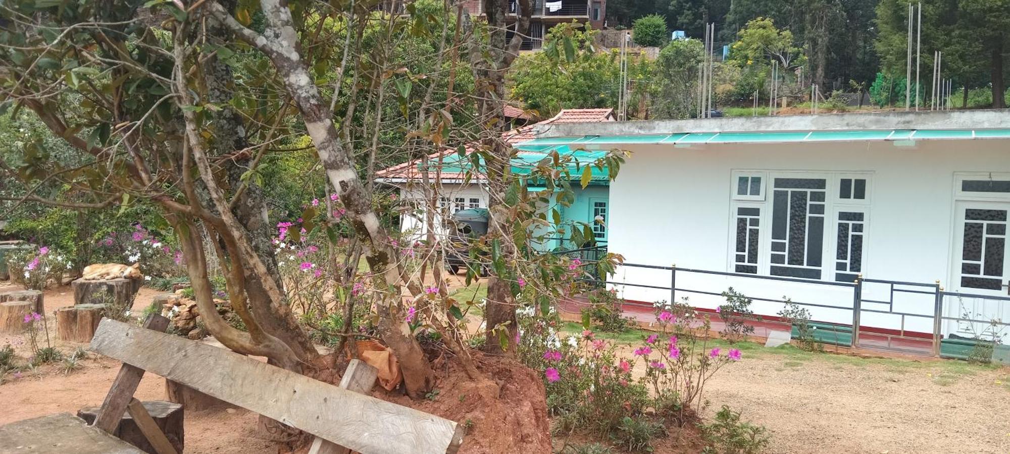 Forest Cyniciam Homestay Ohiya Extérieur photo