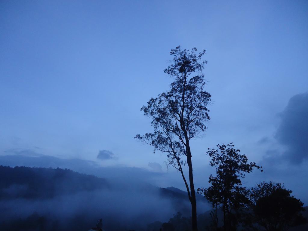 Forest Cyniciam Homestay Ohiya Extérieur photo