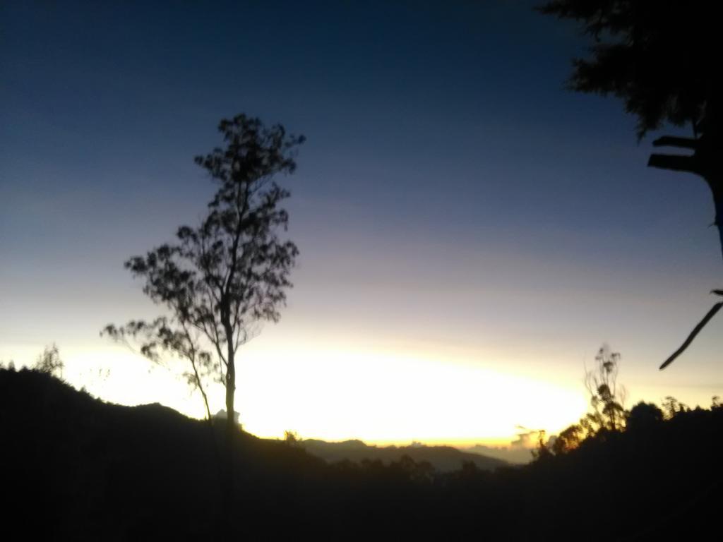 Forest Cyniciam Homestay Ohiya Extérieur photo