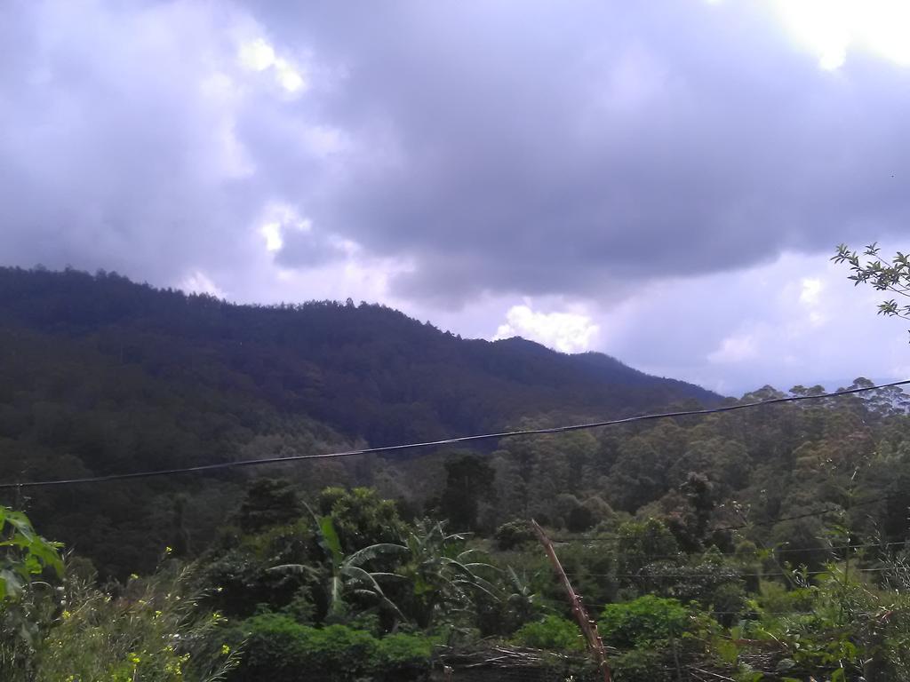 Forest Cyniciam Homestay Ohiya Extérieur photo